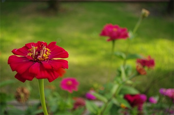 给孩子的中班寄语 【幼儿园中班给孩子的话】