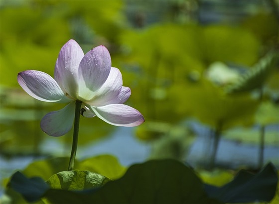 三年级成长手册家长寄语 【爸妈寄语一年级】