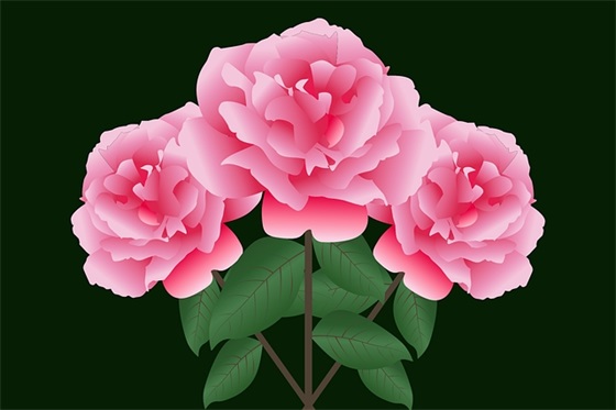 幼小衔接开学寄语 【幼小衔接开学文案】