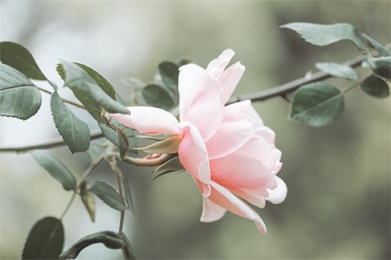 初一新生家长寄语鼓励 【初一新生家长鼓励的话】