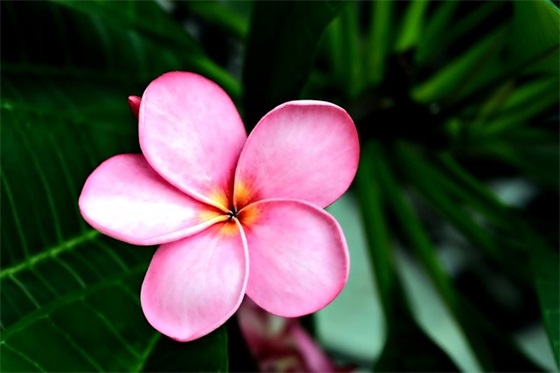 幼师成长寄语 【幼师成长寄语长篇范文】