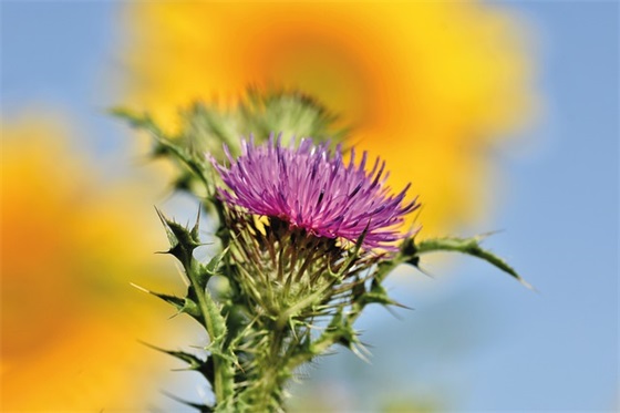 父母对孩子寄语汇总 【父母对孩子寄语精选】