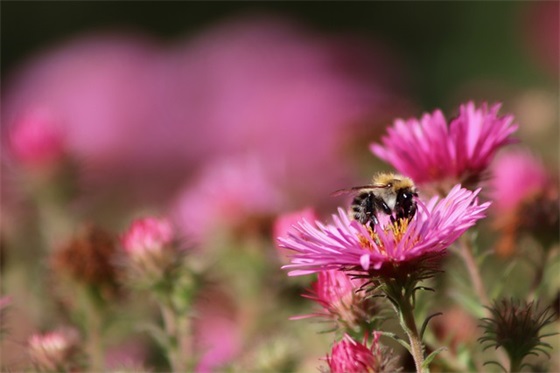 孩子第一次旅行父母寄语 【孩子第一次旅行说说父母心情】
