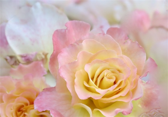 毕业寄语幼儿园孩子写 【100句精选】