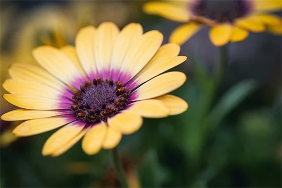 幼儿园毕业进入小学家长寄语 【幼儿园毕业就要步入小学,家长对宝贝的寄语】