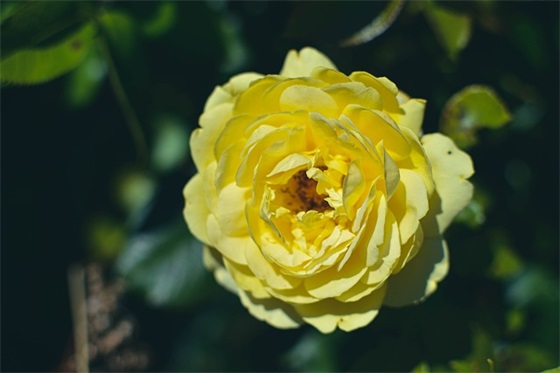 初中家长给孩子寄语-69句