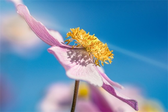男孩生日妈妈寄语 【男孩子生日妈妈微信说说】