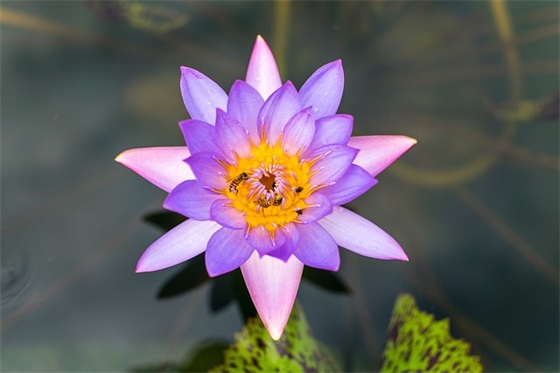 幼儿教师对幼儿的寄语-67句