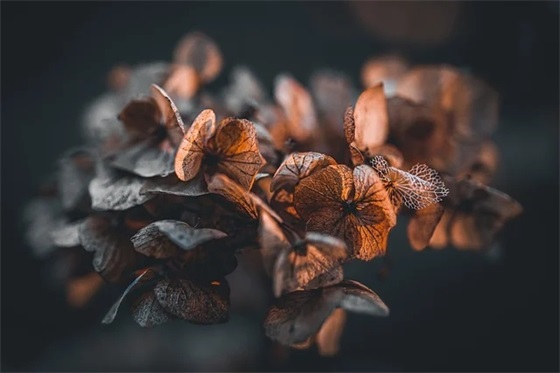 为你改变那么多的句子精选103句