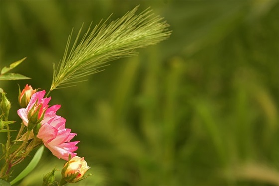 催款经典句子精选169句