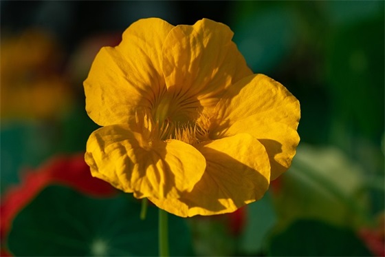 写读书手抄报的句子大全集精选222句