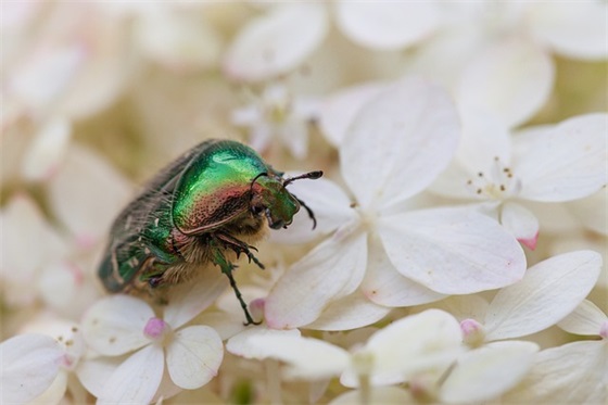 表达女儿对爸爸的爱的句子精选17句