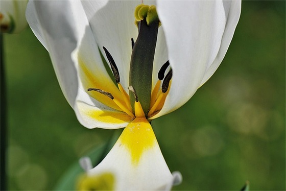 老师对毕业同学的寄语 【100句精选】