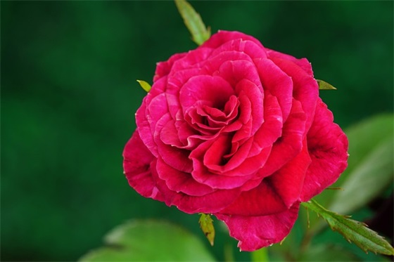 8岁寄语 【简短18岁寄语】