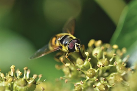班主任对高三毕业学生的寄语简短 【班主任对高三毕业学生的评价语300字】