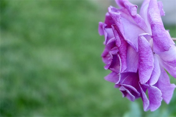 小学毕业对未来自己的寄语 【小学毕业对未来自己的寄语简短】