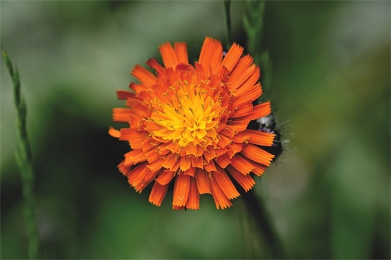 心理咨询师的个人寄语 【心理咨询师的祝福语】