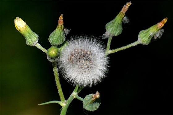幼儿园毕业家长送给老师寄语-83句