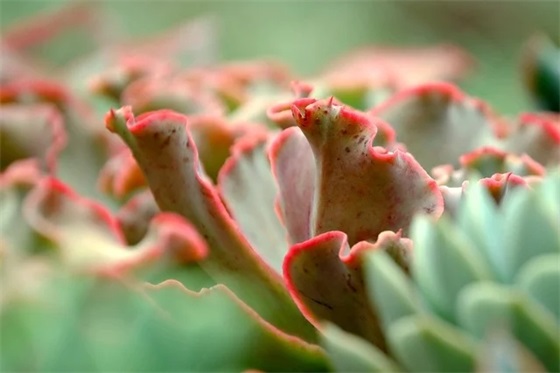 二年级小学生家长的寄语 【二年级小学生家长的寄语大全】