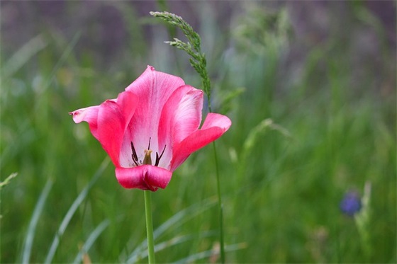 对孩子的考试寄语 【对孩子考试的鼓励语】