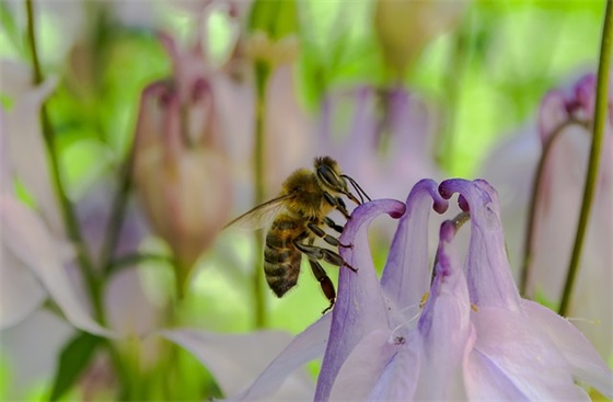 网名搞笑内涵有深度88个精选