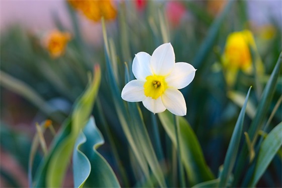 微信情侣网名一男一女【精选55个】