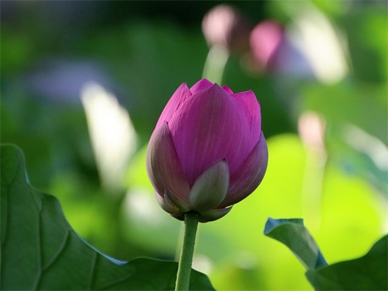 独一无二的网名格式汇总84个