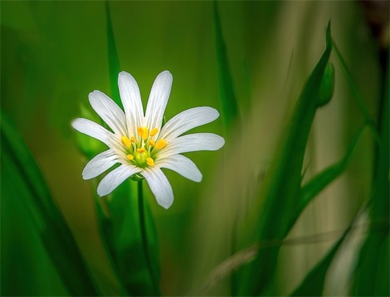 笔画多的网名霸气41个精选