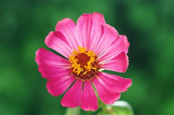 征途性游戏名字个推荐（搞怪征途性游戏名字个）