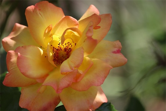 逆战字的游戏名字个简约昵称（小众干净的逆战字的游戏名字个）