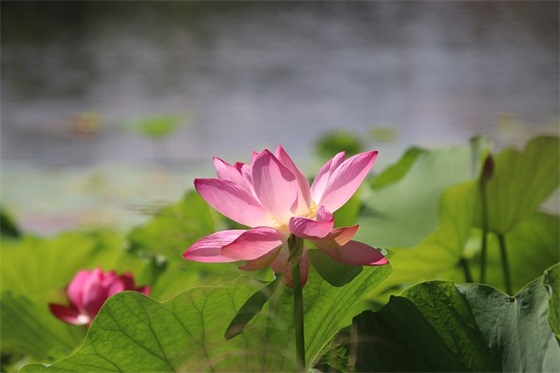 热血传奇游戏名字大全带符号（搞怪热血传奇游戏名字大全）