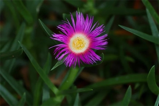 绝地求生搞笑游戏名字简短好听（独特的绝地求生搞笑游戏名字）