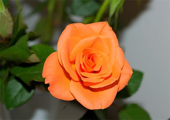 cf字游戏名字个带符号（小众干净的cf字游戏名字个）