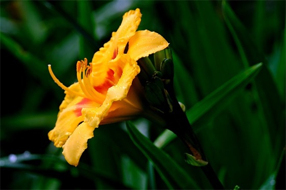 祝最好的朋友生日快乐 祝朋友生日快乐的句子