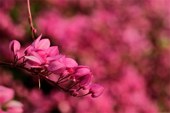 2025鼓励员工正能量的句子(鼓励员工们加油干的句子)