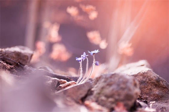 论语中关于学习方法的句子