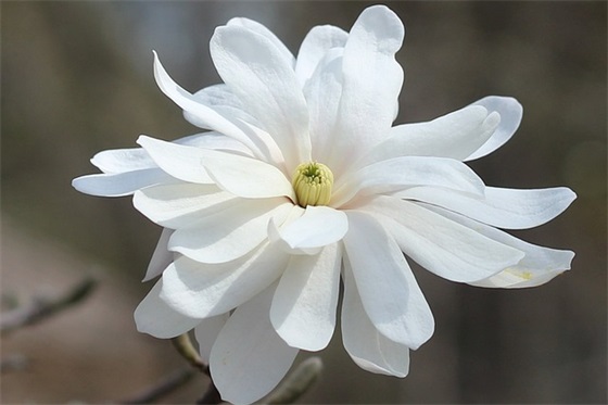 小说里让人心疼的句子36句