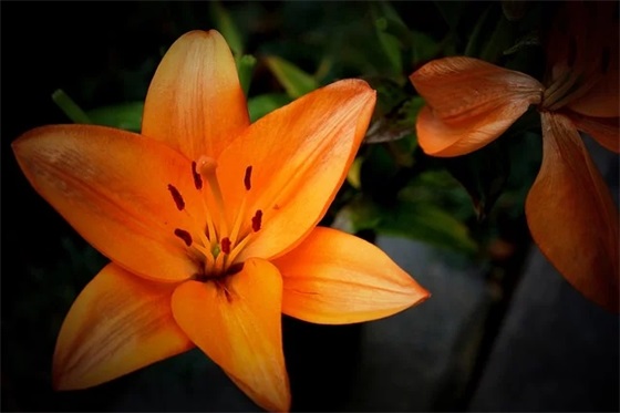 心痛悲伤的句子