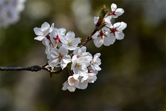 关于生命的好句子