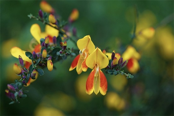 很真实的夸男生句子 简短的夸男生的话