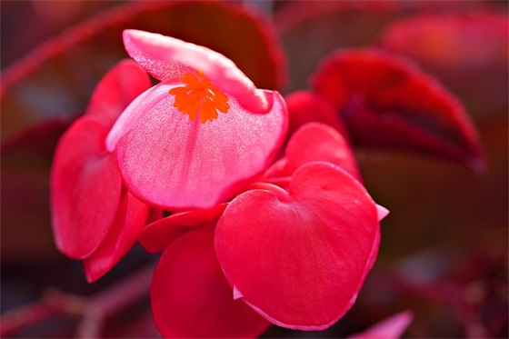 关于气象的谚语230条