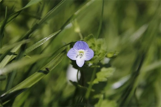 平常的心态感悟总结