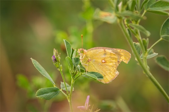 初二升初三暑假计划表