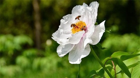 手脚冰冷怎么办