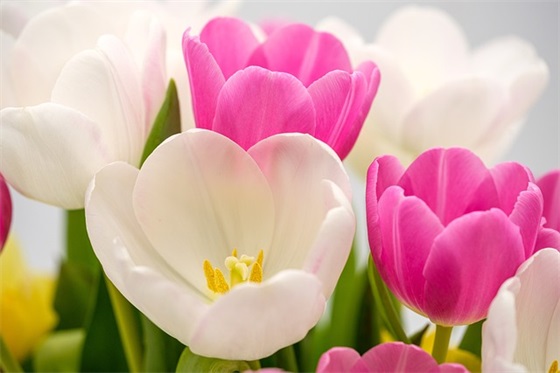 优秀团支部申请材料