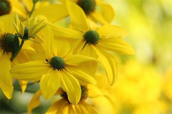 安全寄语最好的-100句