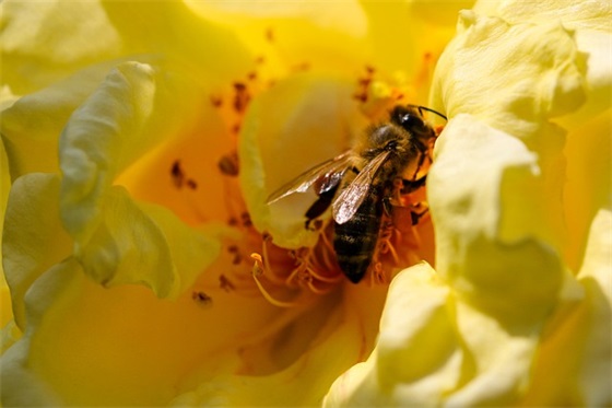 深情寄语闺蜜短句 【深情寄语闺蜜短句霸气】