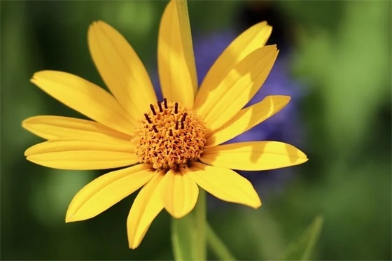 家庭安全寄语精选 【家庭安全寄语精选100字】