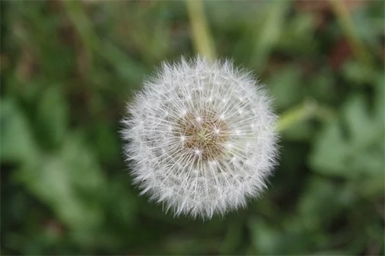 学期寄语高兴的事短句-65句