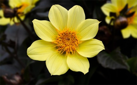 带南下和七的网名